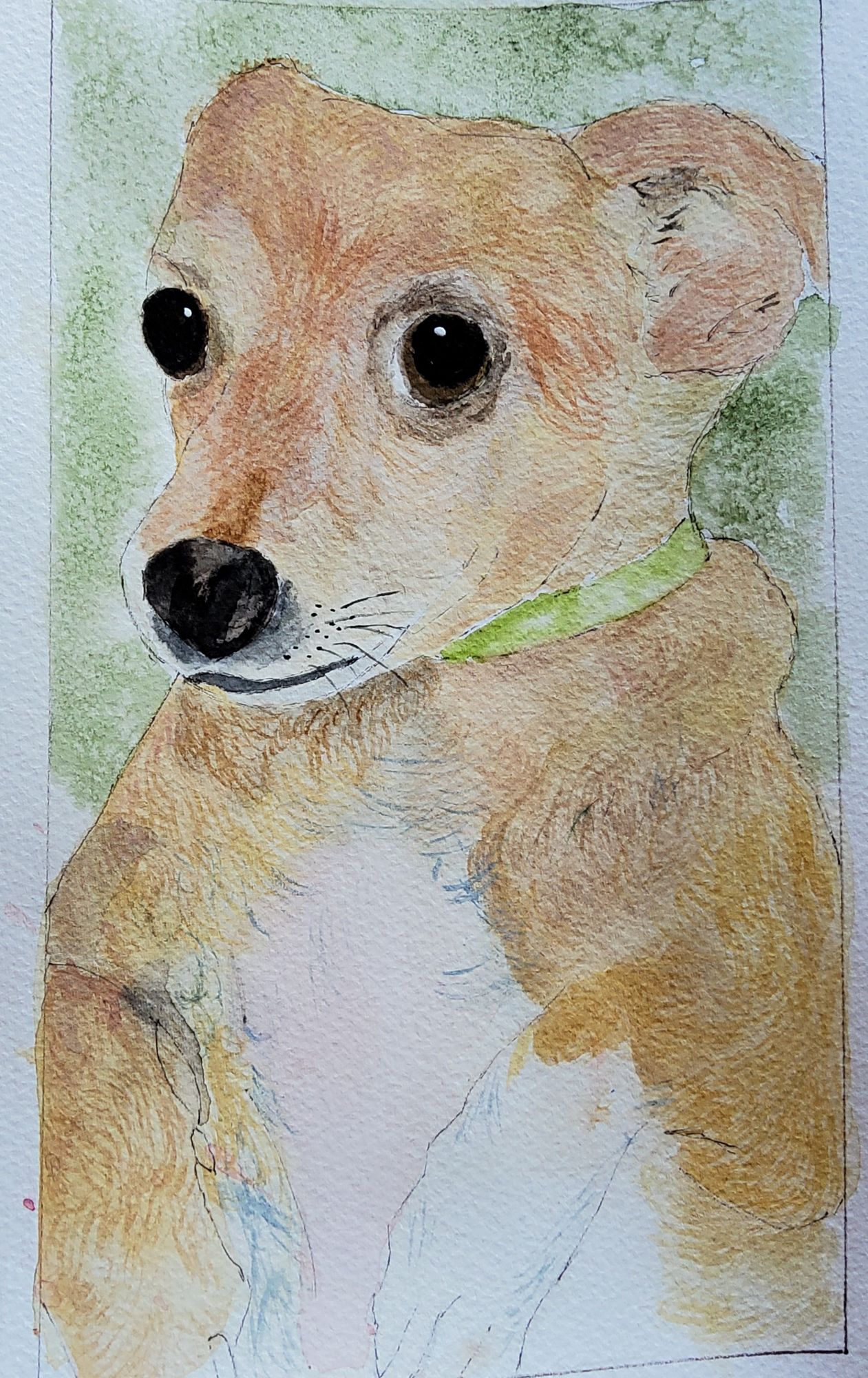 “Annie” Pet portrait