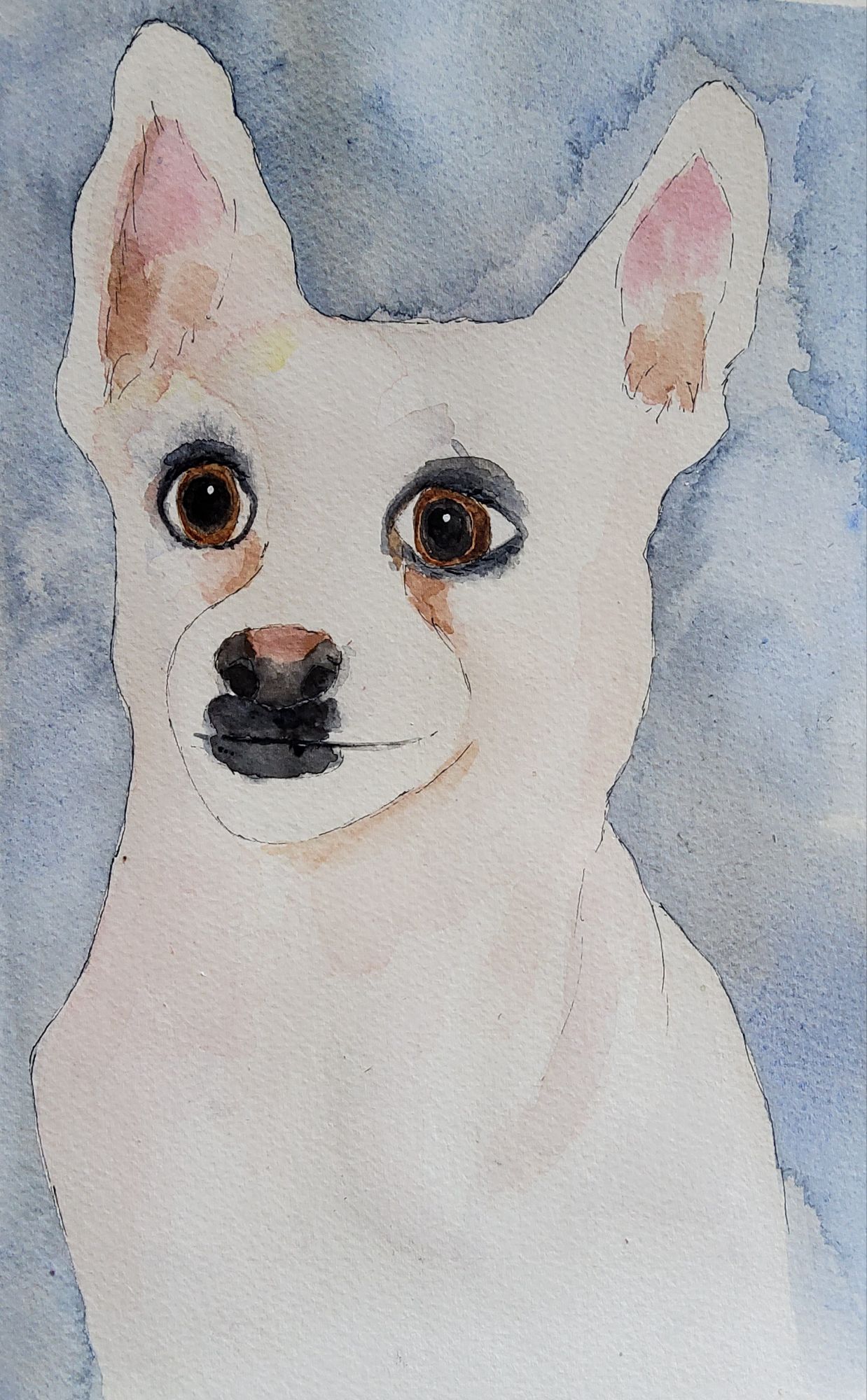 “Sunny” Pet portrait