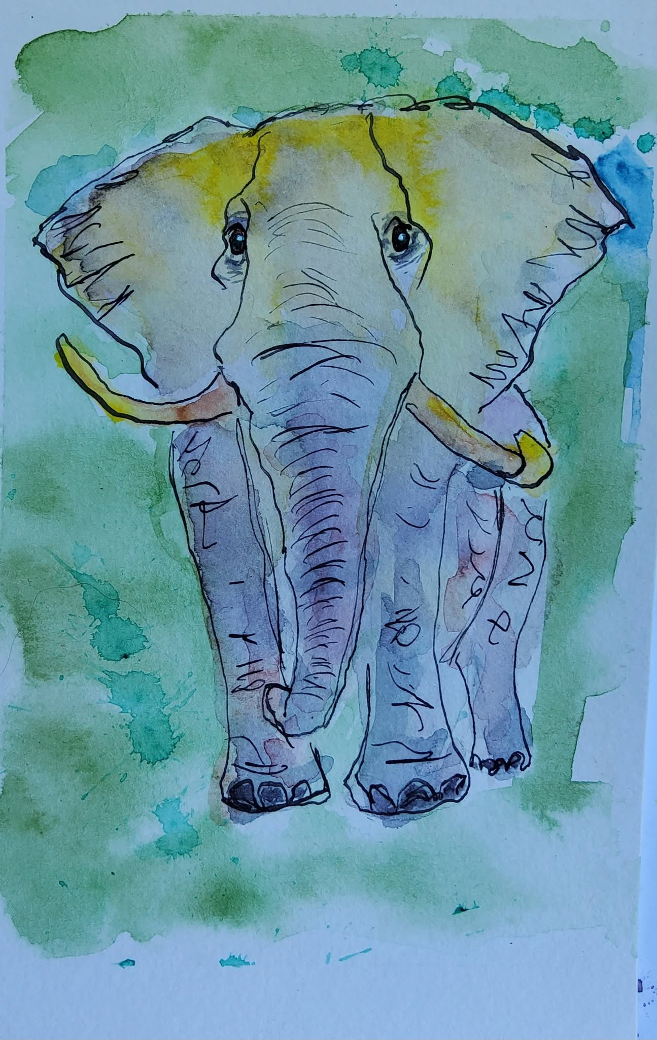 Elephant